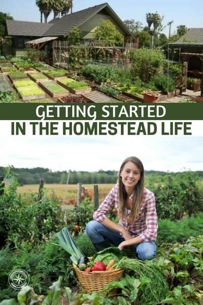 Getting Started In The Homestead Life If Youre Stopping By To Read