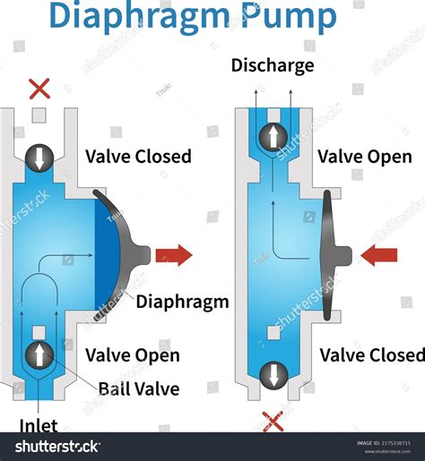 Diaphragm Vacuum Pump Setup Schematic