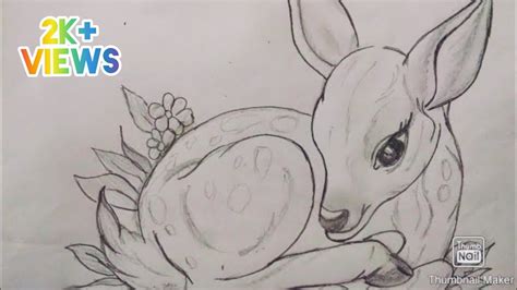 How To Draw Fawn Baby Deer Pencil Sketch Of Fawn Drawing