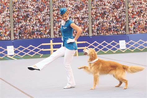 Put Your Best Paw Forward Inside The World Of Dog Dancing