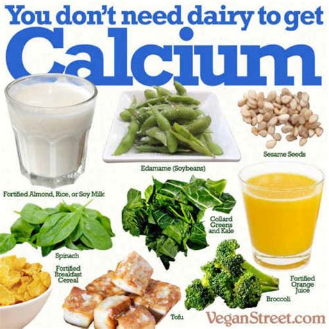 Calcium is especially important when you're transitioning to. What Every Vegan Needs to Know about the Advantages and ...