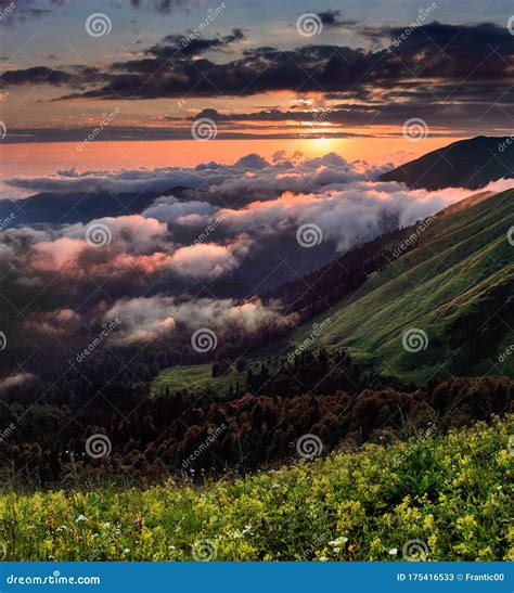 Panoramic Forest Landscape Under Evening Sky With Fog And Clouds At