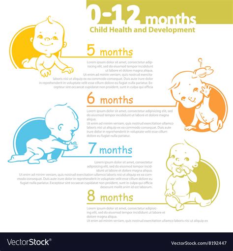 Baby Growing Up Infographic Royalty Free Vector Image