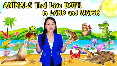 Top 104 Living In Water And Land Animals