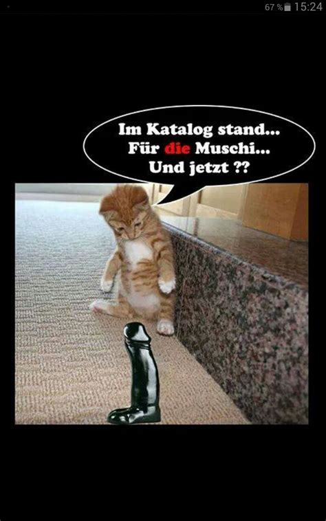 Check spelling or type a new query. Pin auf Bilder