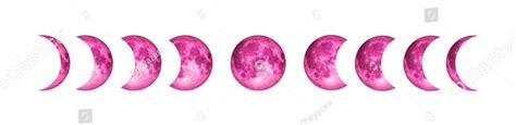 Cycle Moon Pink Phasesisolated With Clipping Path On White Background