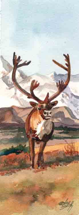 Majestic Caribou WetCanvas Online Living For Artists