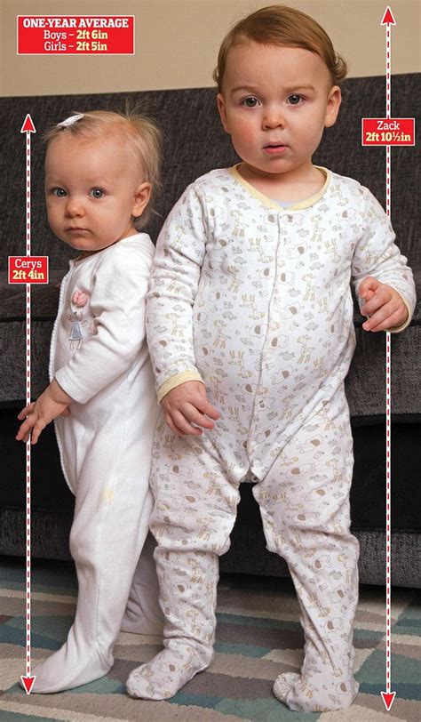 Have you ever wondered how tall will i be or how tall your little one will be? Average Height Of A Three Year Old Girl - GirlWalls