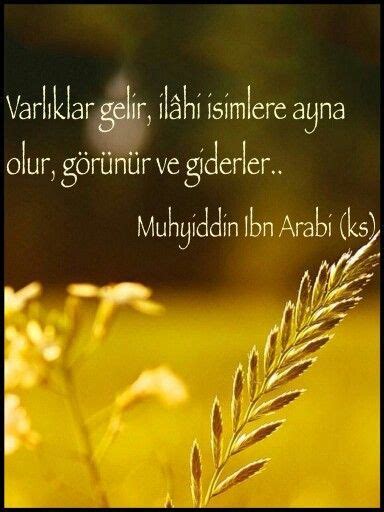 Lt → türkçe (anadolu lehçeleri) → muhyiddin i̇bn arabi. TASAVVUF SÖZLERİ panosundaki Pin