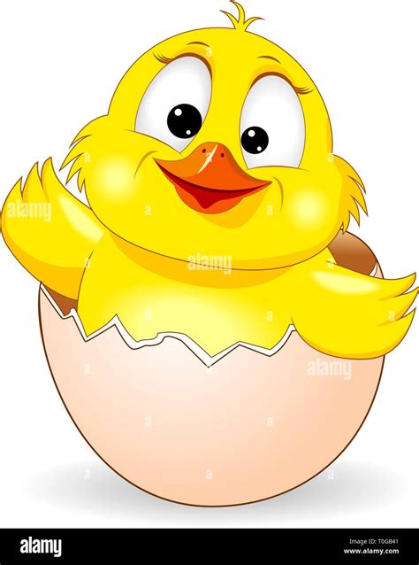 Little Yellow Chicken On White Background Cartoon Chick Peeking Out Of