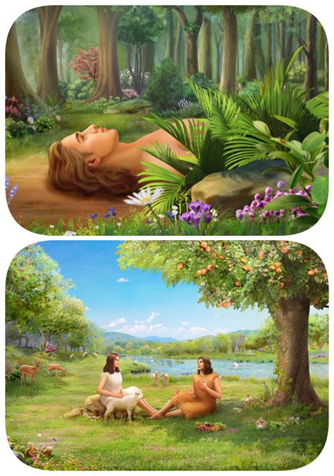 God Creates Adams And Eve Adam And Eve Bible Pictures Bible Devotions