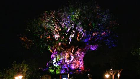 Tree Of Life Awakenings Projections At Disneys Animal Kingdom Youtube