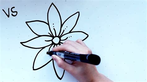 How To Draw A Mayflower Flower Treelineartillustration