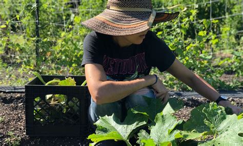 Order delivery or pickup from magic soul food in miami gardens! Meet Diana Perez of Magic City Gardens in North Miami ...