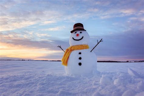 Funny Snowman In Black Hat Stock Image Image Of Light 166491015