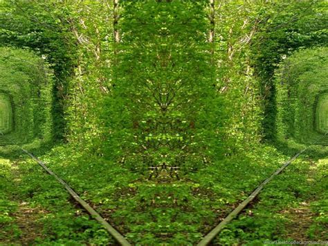Wallpapers Proslut High Resolution Beautiful Nature Jungle Desktop
