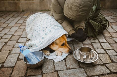 Homeless People With Pets