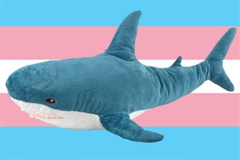 How The Ikea Shark Became A Trans Icon Cnews