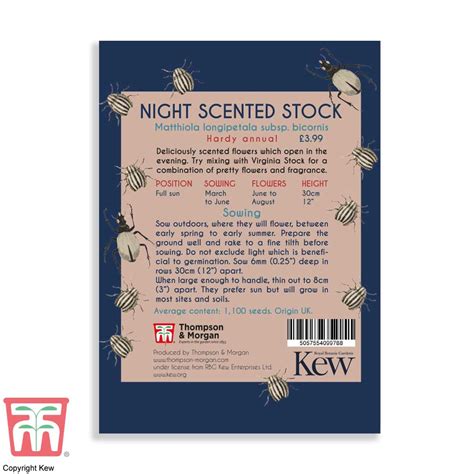 Stock Night Scented Kew Pollination Seed Collection Thompson And Morgan