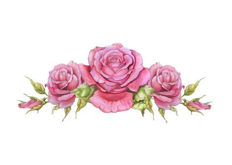 Watercolor Horizontal Vignette Of Roses Stock Illustration