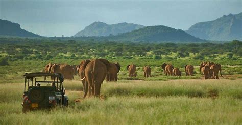 Nairobi 3 Tägige All Inclusive Safari Im Samburu Nationalpark