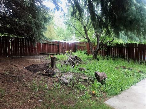 Follow along as i tackle my backyard makeover over four weeks! A Backyard Makeover in a Weekend - Chris Loves Julia