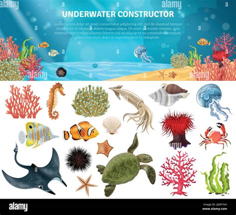 Sea Life Animals Plants And Landscape Cartoon Icons Constructor Set