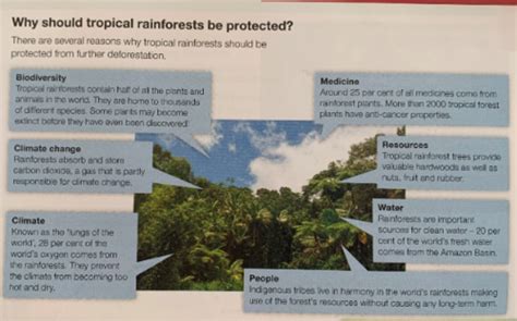 Distanced Learning Gcse Ecosystems Tropical Rainforests Case Study