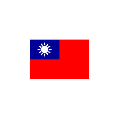 Here above you can see the current taiwan flag. Taiwan Flag | Canepa & Campi