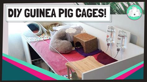 Guinea Pig Indoor Candc And Diy Cages Build And Design Your Own Custom