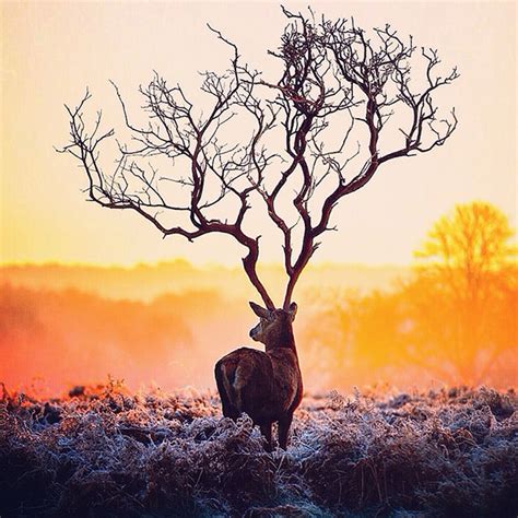 These Inspiring Surreal Photos By Instagrammer Nois7 Will