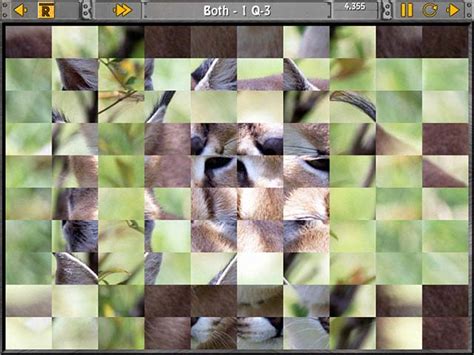Play with digital photos, pictures and standard numeric board. Sliders and Other Square Jigsaw Puzzles > iPad, iPhone ...