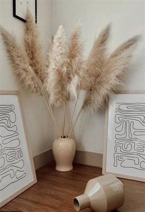 6 Extra Large Dried Pampas Grass 4ft Dried Flowers For Etsy In 2021