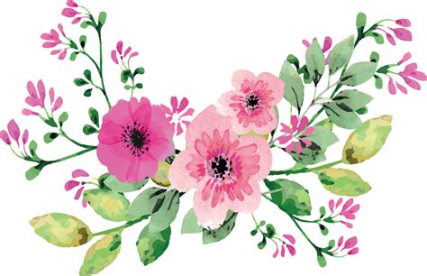 Pink Watercolor Flower Vector Png