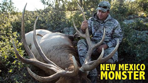 New Mexico Monster Elk Hunt With Jason Carter Youtube