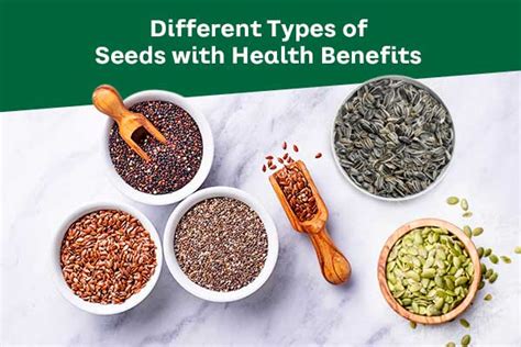Healthy Seeds 12 Different Types Of Seeds With Health Benefits
