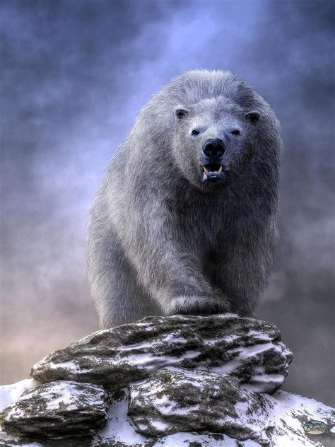 #digital painting is so very not my strong suit #but i wanted to make something. King Polar Bear Digital Art by Daniel Eskridge