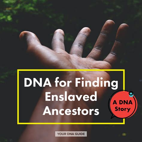 Finding Enslaved Ancestors Using Dna Your Dna Guide Diahan Southard