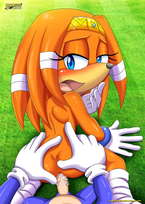 Tikal The Echidna Bunnie Rabbot Knuckles The Echidna Sonic The