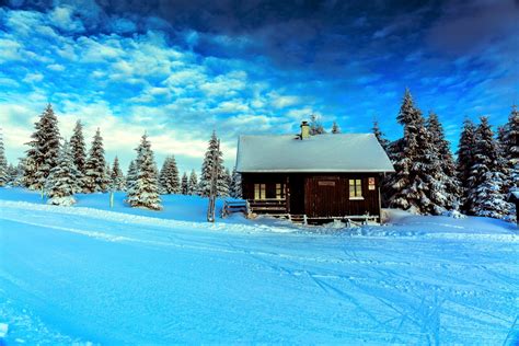 Cabin In Winter Forest 4k Ultra Hd Wallpaper Background Image