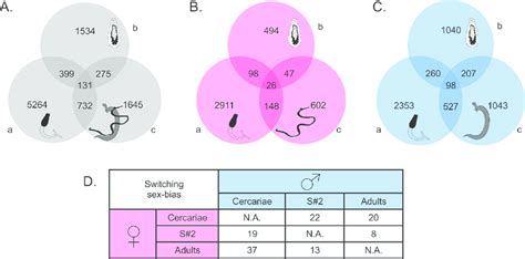 Venn Diagrams Of Sex Biased Genes For Each Of The Three Developmental