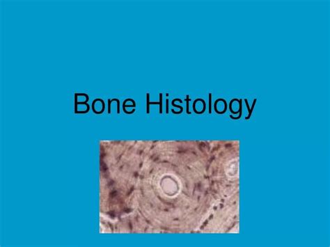 Ppt Histology Slides For Bone Tissues Powerpoint Presentation Free My