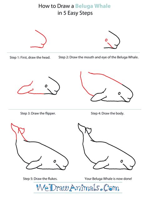 Https://techalive.net/draw/how To Draw A Beluga Whale Easy