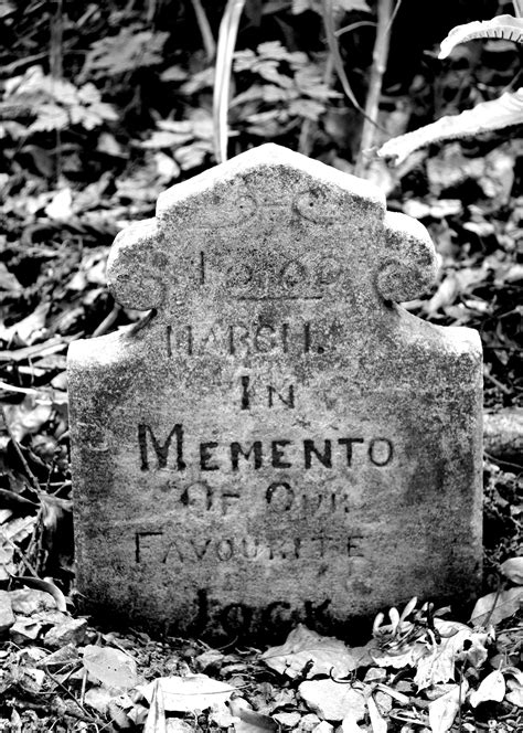 The irony was, when i first watched 'pet sematery' i actually couldn't spell 'cemetery' therefore i didn't pick up the deliberate typo in the title! Pet cemetery, Dunster Castle. | Pet cemetery, Castle ...