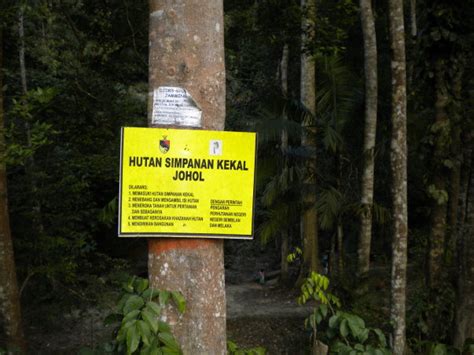 Hutan paya hutan pantai hutan gunung hutan hujan tropika. Taipingmali : PEMBALAKAN DI HUTAN SIMPAN KEKAL JOHOL ...