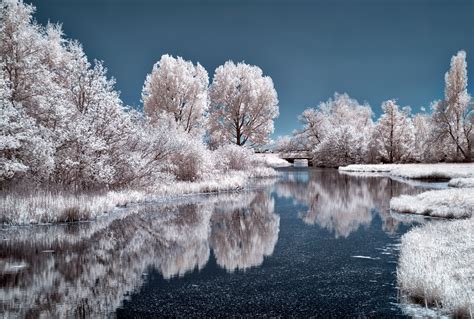 Ice Lake Frozen Trees 4k Hd Nature 4k Wallpapers Images Backgrounds