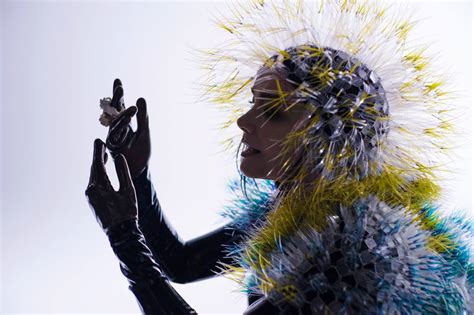 Review Björk Vulnicura Bearded Gentlemen Music