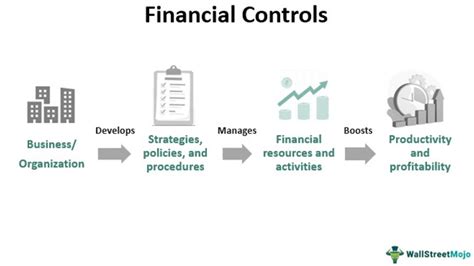 Financial Controls Meaning Process Objectives Types