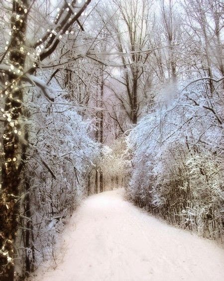 Winter Wonderland ~ Stunning Nature