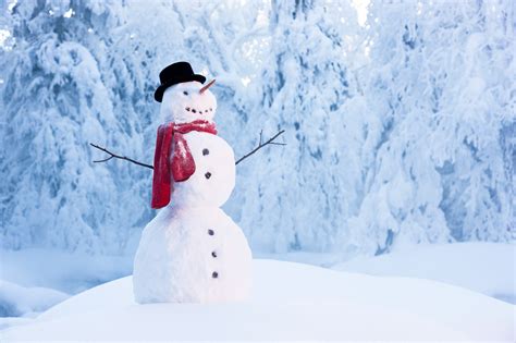Build A Snowman Wallpapers High Quality Download Free